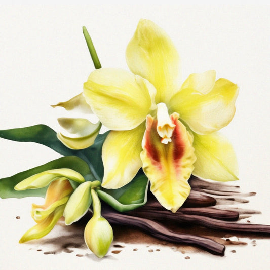 VANILLIN – nota dolce, cremosa e calda con sentore di vaniglia pura, zucchero e latte caldo