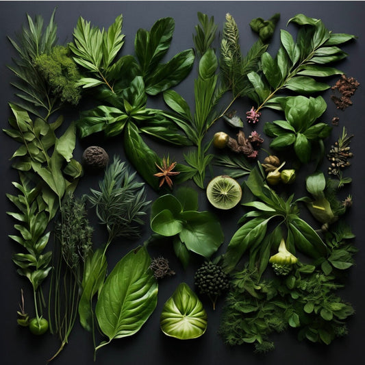 CLOVE LEAF OIL – olio essenziale speziato, caldo e aromatico con sentore di chiodi di garofano, legno secco e cuoio morbido