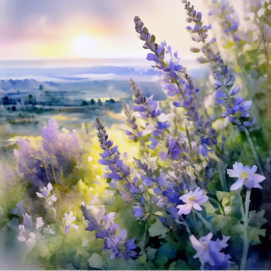 SCLAREOLATE FIRMENICH – nota floreale bianca, aromatica e pulita con sfumature di salvia moscatella, linalolo e mughetto trasparente