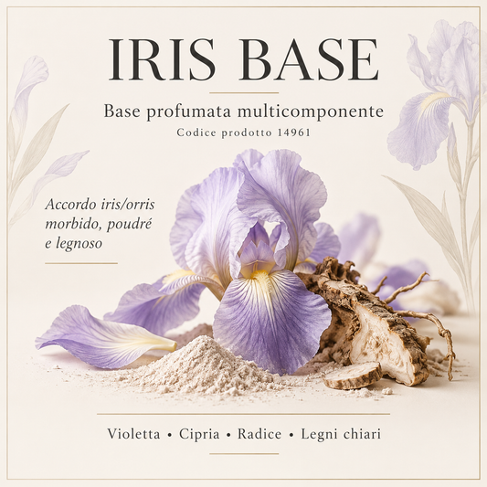 IRIS BASE 14961 – base profumata multicomponente, accordo iris/orris poudré, violetta, radice e legni chiari