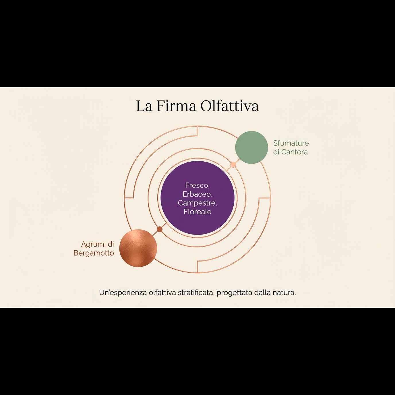 LAVANDIN GROSSO HE  – olio essenziale aromatico, erbaceo e canforato con sentore di lavanda, erbe mediterranee e pino chiaro